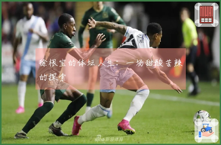 徐根宝的体坛人生：一场甜酸苦辣的探索