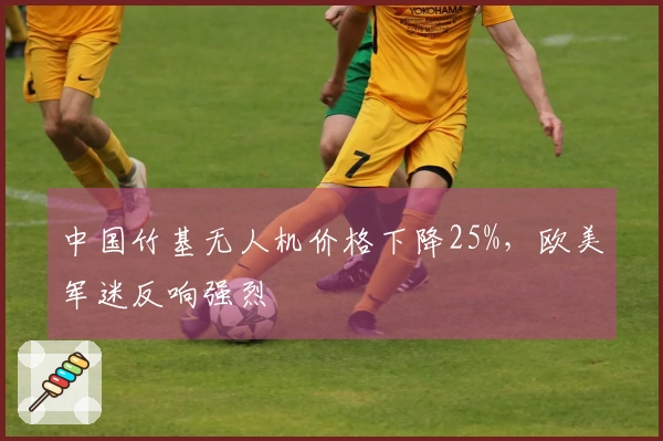 中国竹基无人机价格下降25%，欧美军迷反响强烈