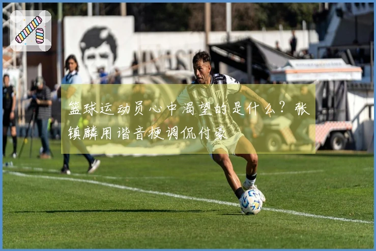篮球运动员心中渴望的是什么？张镇麟用谐音梗调侃付豪